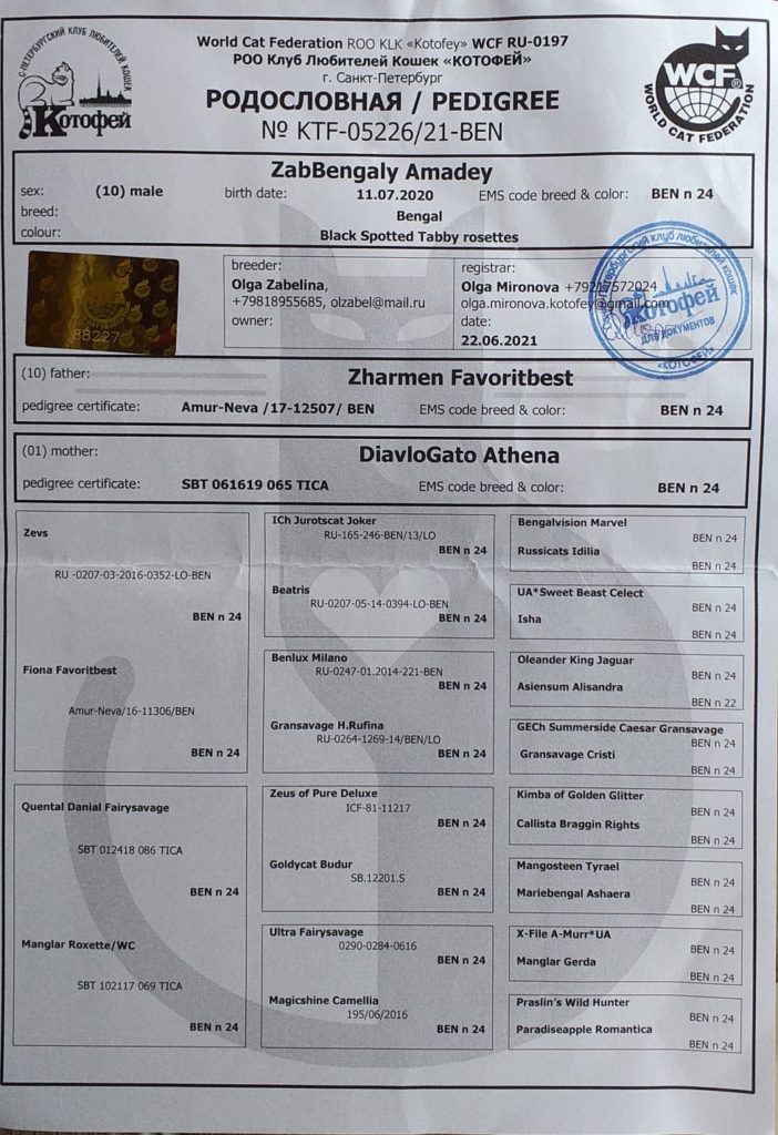 документы Zabbengaly Amadey