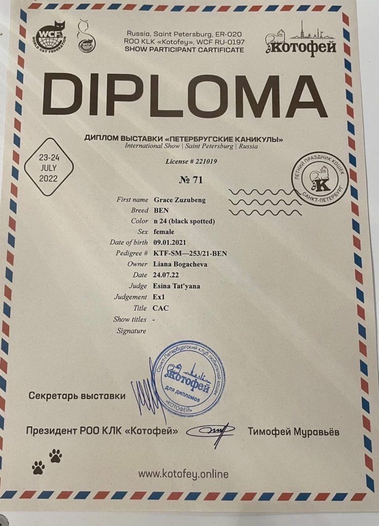 Документы