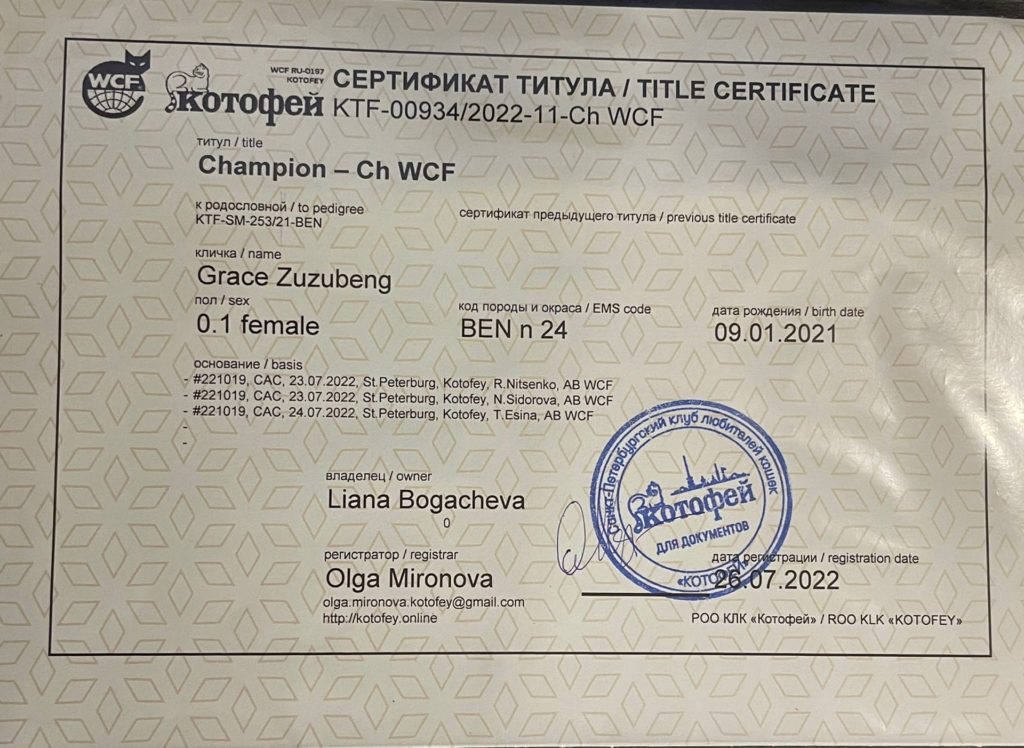 Документы