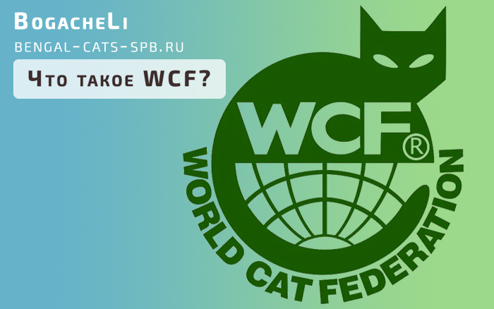 Что такое WCF? Всемирная Федерация Кошек
